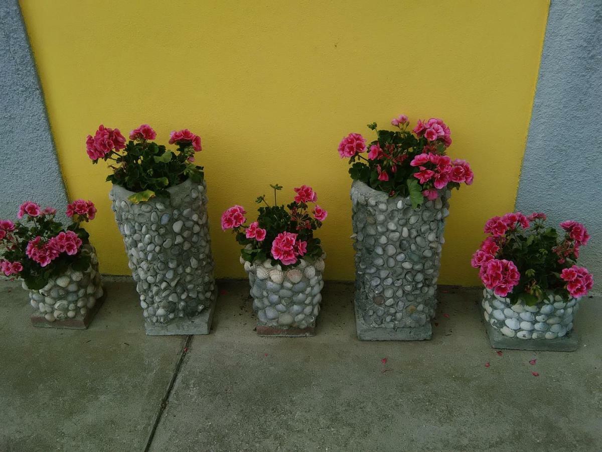B&B Tisoi Belluno Exterior photo